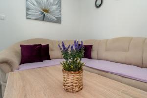 Posezení v ubytování APARTMENT LEO NOVALJA