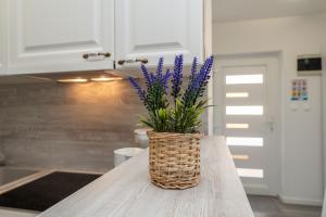 Kuchyň nebo kuchyňský kout v ubytování APARTMENT LEO NOVALJA
