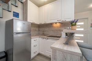 Kuchyň nebo kuchyňský kout v ubytování APARTMENT LEO NOVALJA