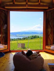 a person laying in a chair in front of a large window at Woda Góry Las - glamping CAŁOROCZNY in Szlembark