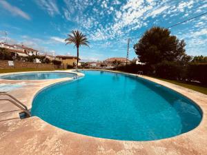 a swimming pool with blue water and a palm tree at Amber Holiday Home in Peniscola