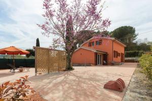 a house with a tree in front of it at Casa Melatina ToscanaOneHH in Riparbella