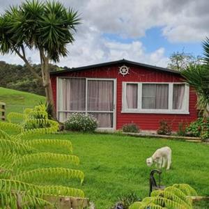 a dog standing in the grass in front of a red house at Dream Weavers Farm Cabin in Karetu