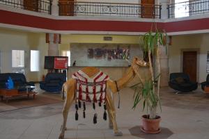 A seating area at Morgenland Holly Village
