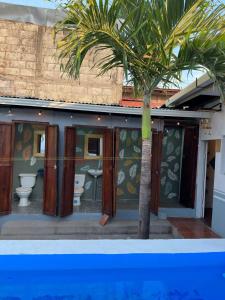 uma casa de banho com uma palmeira em frente a um edifício em The Wabi Sabi em León