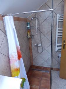 a shower with a shower curtain in a bathroom at Holiday home in Dragatus - Kranjska (Krain) 50798 in Dragatuš