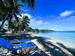 einen Strand mit blauen Stühlen, Palmen und dem Meer in der Unterkunft Mira mar Hotel y Restaurante in Roatán