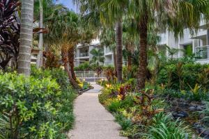 クーラムビーチにあるBelle Escapes 3 Bedroom Villa with private rooftop spaの椰子の木が茂る庭園内の小道