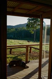 Imagen de la galería de Hitching Rail Hut, en Coramba