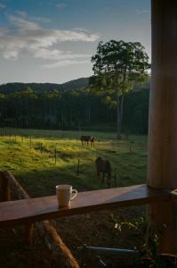 Imagen de la galería de Hitching Rail Hut, en Coramba