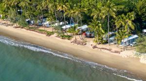 an aerial view of a beach with palm trees at Ellis Beach Oceanfront Holiday Park in Palm Cove