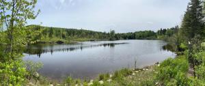 a large lake with trees on the side of it at Maison contemporaine Tremblant- Spa & tranquillité in Lac-Superieur +36 photos