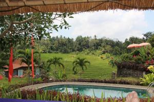 Zahrada ubytování Bali Lush
