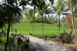 Zahrada ubytování Bali Lush