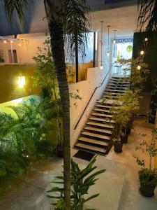 un hall avec des escaliers, des plantes et un palmier dans l'établissement Ixaya, à Puerto Vallarta