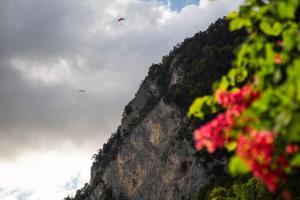 Φυσικό τοπίο κοντά σε αυτό το διαμέρισμα