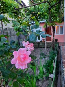 Galeriebild der Unterkunft Marlen in Kutaissi