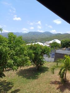 a view of a yard with trees and mountains at Ani studio in Vieux-Habitants