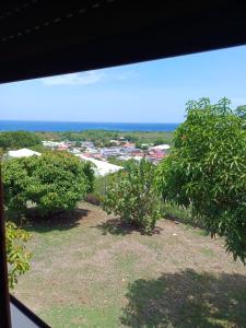 a view from a window of a yard with trees at Ani studio in Vieux-Habitants