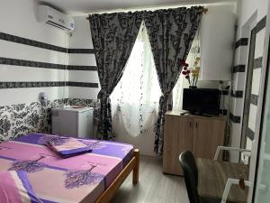 a room with a bed and a tv and a window at Vila MariCris in Tuzla
