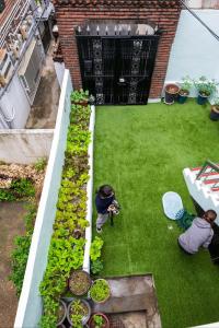 un jardin avec des plantes et 2 personnes dans l'établissement Stay Seoul Station, à Séoul