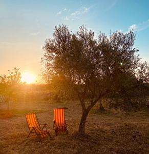 Villa delle Stelle في Cassaro: وجود كرسيين للجلوس بجانب شجرة في حقل