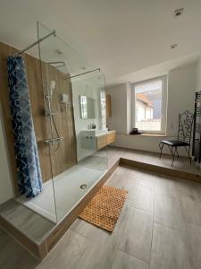 uma casa de banho com um chuveiro e uma cabina de duche em vidro. em Ferienwohnung Delta em Heinsberg