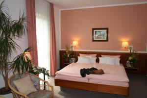 Ein Bett oder Betten in einem Zimmer der Unterkunft Hotel Dorotheenhof