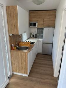 Η κουζίνα ή μικρή κουζίνα στο Beach house Iva