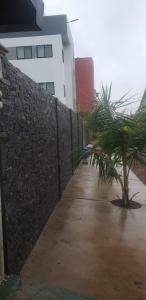 a wall with a palm tree next to a sidewalk at Ivy Residence 4br 6ba with terrasse in Porto-Novo