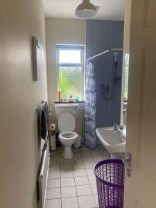 uma casa de banho com um WC, um lavatório e uma janela em ChestNut View Oldcastle 1 bed-room self catering em Oldcastle