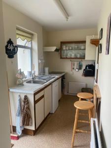 uma pequena cozinha com um lavatório e um balcão em ChestNut View Oldcastle 1 bed-room self catering em Oldcastle