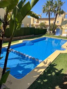 a blue swimming pool with a palm tree and a building at Apartamento junto campo de GOLF LA SELLA in Muntanya la Sella