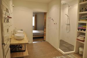 uma casa de banho com um lavatório e um chuveiro em Maison de village cosy cosy au cœur du Tarn em Lisle-sur-Tarn