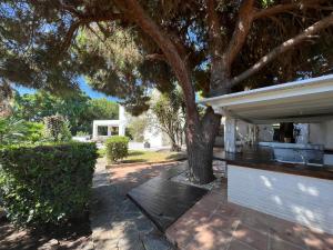 Vonkajšia záhrada v ubytovaní Villa Ibiza Chic à Calahonda - Piscine et Proximité Plage