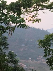 Priroda u blizini of the bed and breakfast