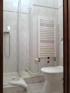 y baño con ducha y aseo. en PSZ Hotel Beach Földvár en Balatonföldvár