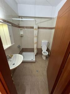 亞歷山德魯波利斯的住宿－HotelApart Filoxenia，一间带卫生间和水槽的浴室