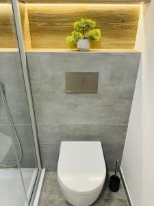 a bathroom with a white toilet in a room at White Home by Gerda in Etgersleben +14 photos