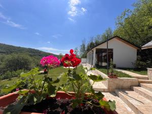un giardino con fiori rosa e una casa di Casa Maria Sarata Monteoru a Sărata-Monteoru