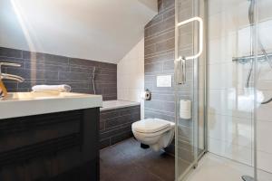 uma casa de banho com um WC, um lavatório e um chuveiro em Beach&Dunes Apartment em Zandvoort