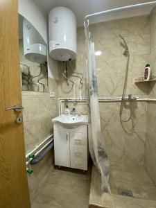a bathroom with a shower and a sink at Villa Wood Borje in Žabljak