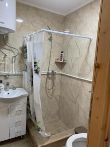 a bathroom with a shower with a toilet and a sink at Villa Wood Borje in Žabljak