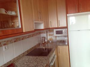 a kitchen with a sink and a white refrigerator at Apartamento en A revolta in Sanxenxo