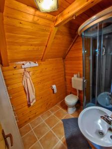 a bathroom with a toilet and a sink at Vineyard cottage Kralj in Uršna Sela +15 photos