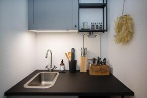 eine Küchentheke mit einer Spüle und Küchenutensilien in der Unterkunft Relax Apart Bonn in Bonn