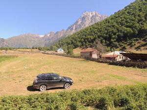 Gallery image of Mila Guest House in Mazeri