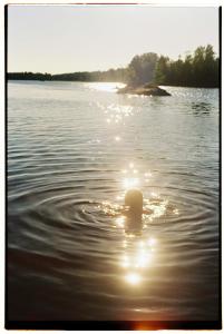a duck swimming in a body of water at Haus am See mit Kamin in Mecklenburg in Cammin +17 photos