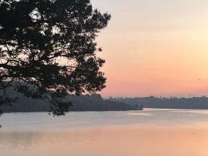 Náttúran í nágrenni sumarhússins