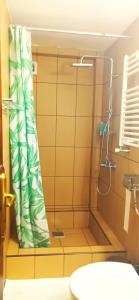 a bathroom with a shower and a toilet at Casa Moroeni in Moroeni